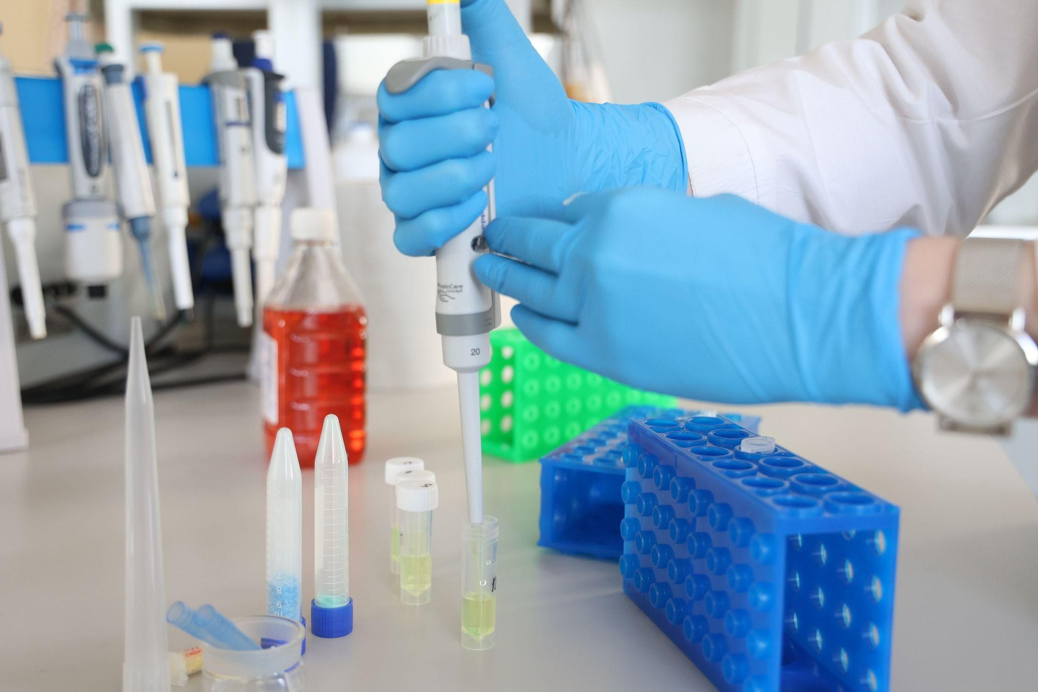 Яркие белки-сенсоры помогут отслеживать активность головного мозга и сердца