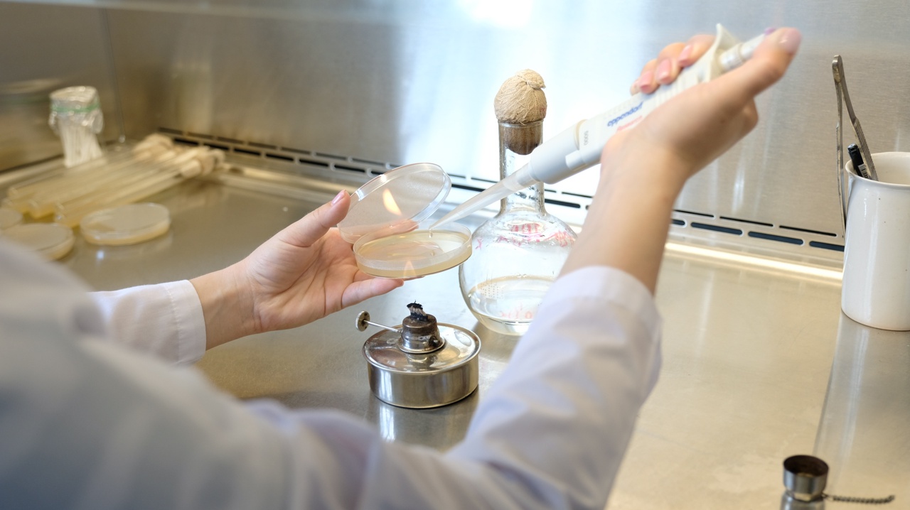 Новый штамм бактерий способен эффективно синтезировать биопластик из рыбных отходов