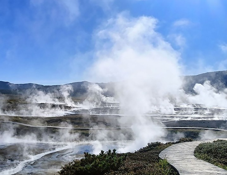 Ученые вырастили архей, давно считавшихся некультивируемыми